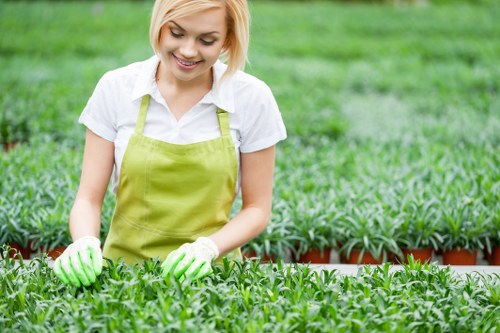 Inspector reviewing insurance documents and certificates for a gardening company