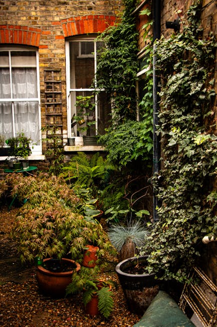 A small, narrow garden situated at the back of a brick-built house, with a dense display of various plants and foliage climbing along the walls and filling the space. The garden features a variety of 