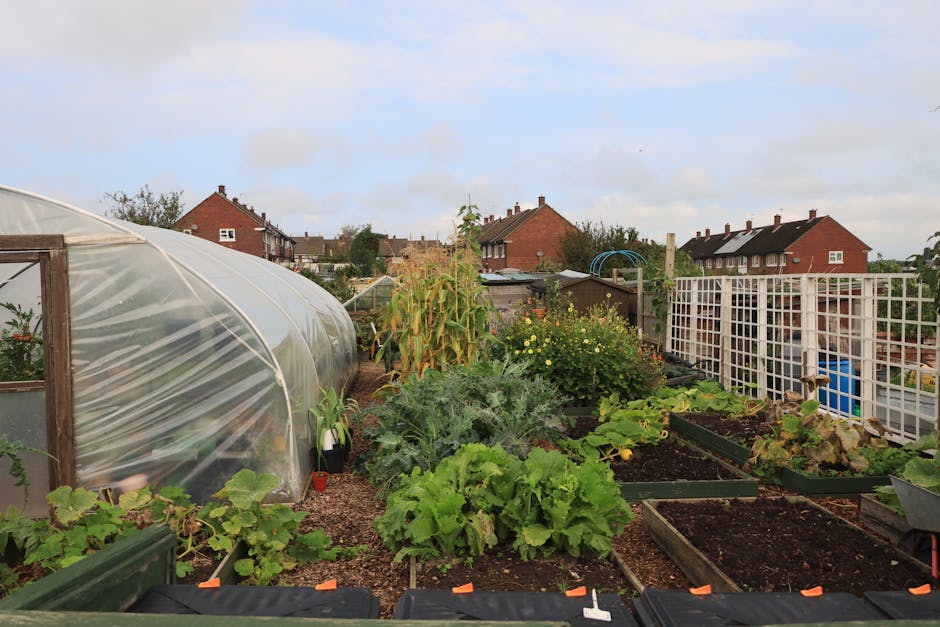 A small, narrow garden situated at the back of a brick-built house, with a dense display of various plants and foliage climbing along the walls and filling the space. The garden features a variety of 